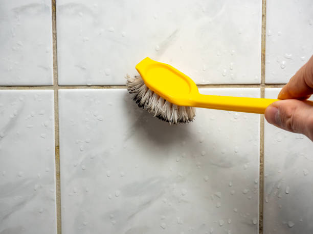 Office Mold Removal Services in Big Rock, IL